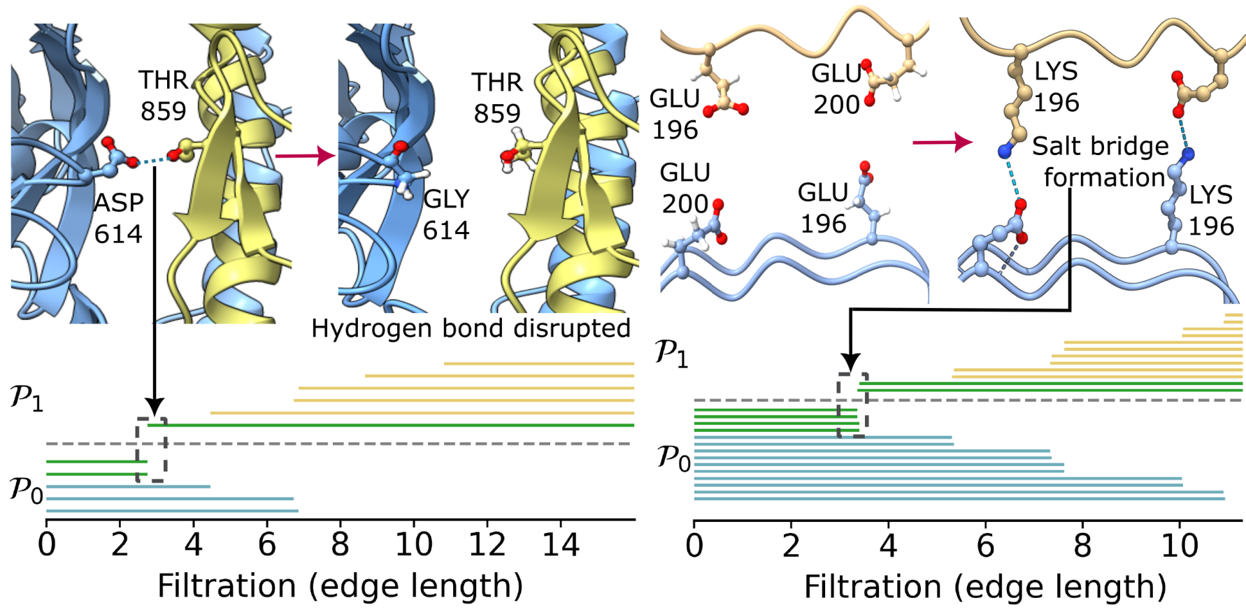 Persistence barcodes of commutative algebraic facet ideals showing hydrogen bond disruption from the SARS-CoV-2 D614G mutation and salt bridge formation from a prion-disease Q196K mutation